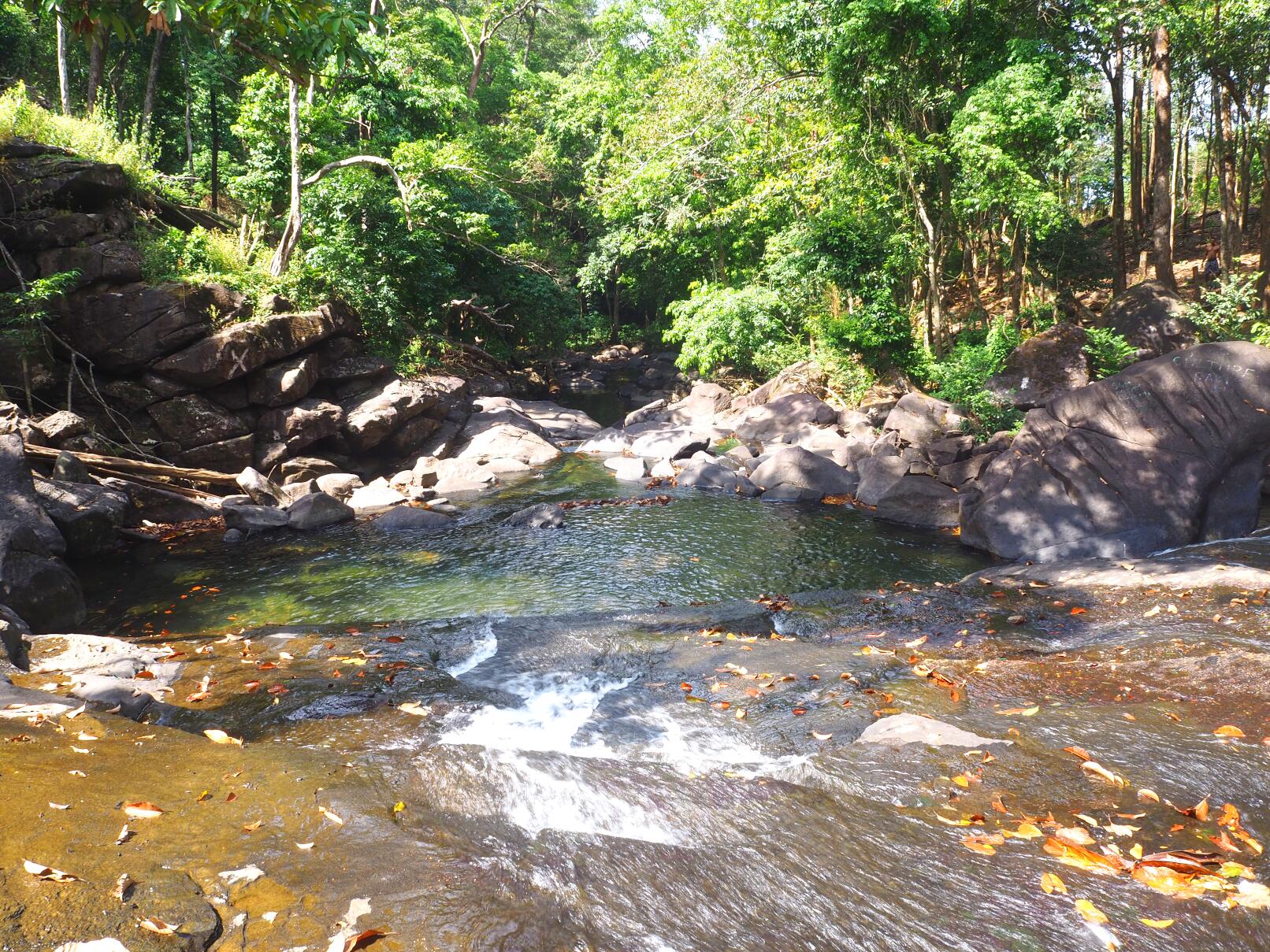 18,000 trees at Mambo Waterfall